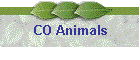 CO Animals